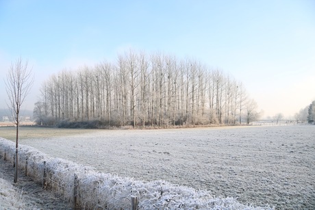 Winterlandschap