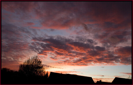 avond rood