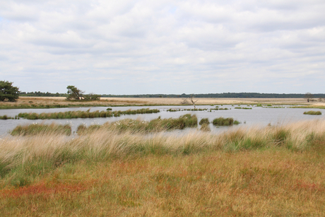 veluwe 6