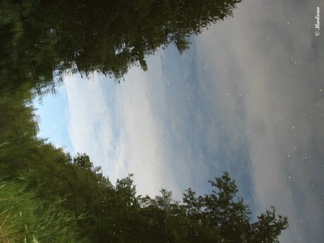 Spiegeling in het water.