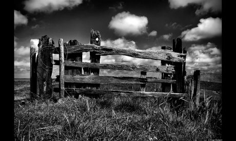 Texel,Old Fence