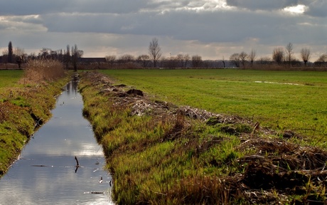 Polderlandschap in de redelijk felle zon