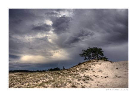 Kootwijkerzand