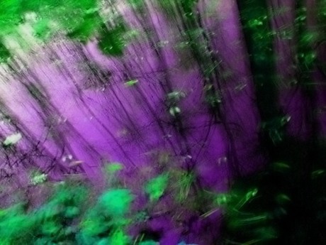 've U ever been in Dreamland? (part I)