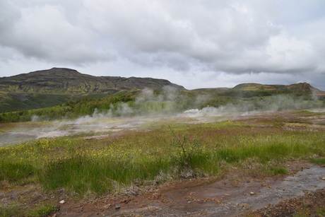 Geysir field IJsland