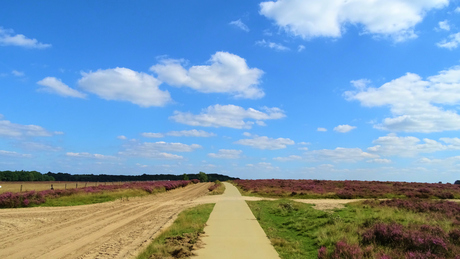 Heide Nederland