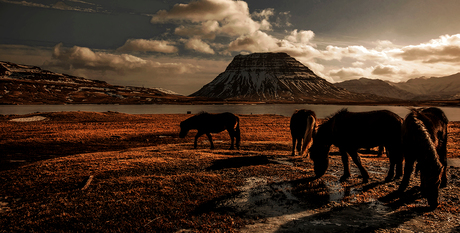 kirkjufell in Ijsland