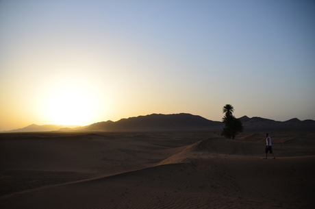 Zonsopkomst in de woenstijn