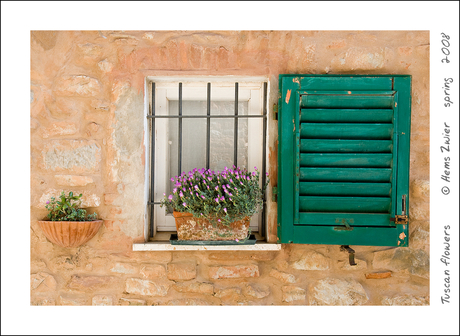 Tuscan flowers