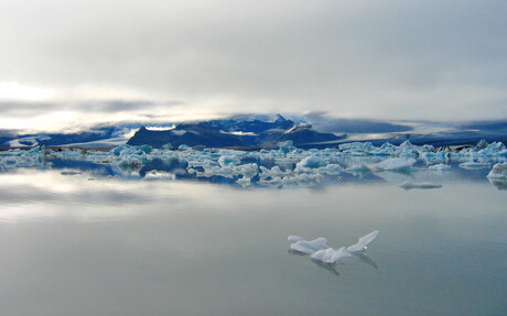 Ice Sculptures