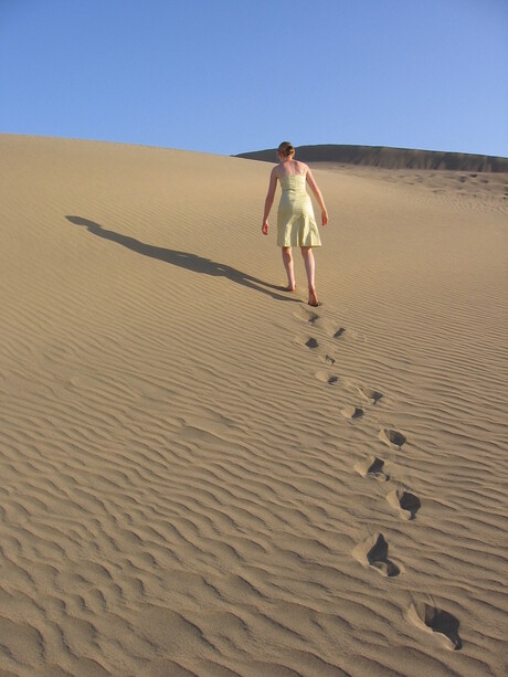 Dessert Walk