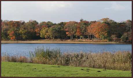 Herfstkleuren 2