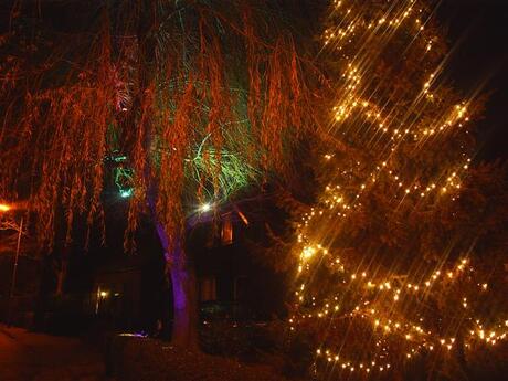 KerstVerlichting in de Tuin