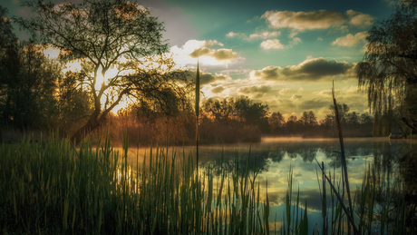 Groene hart Monnickendam