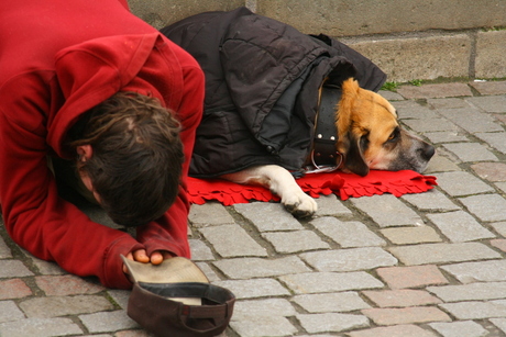 man and his dog