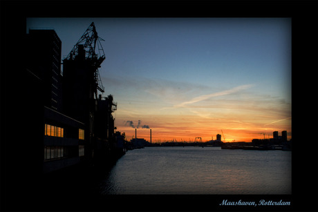 Maashaven van Rotterdam