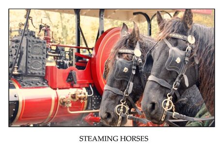 Steaming Horses