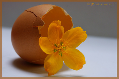 Flower egg