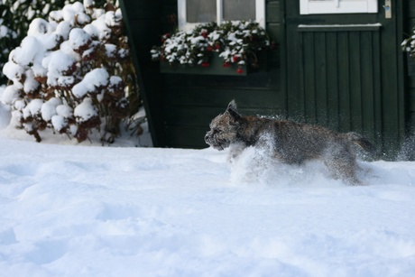 plezier in de sneeuw