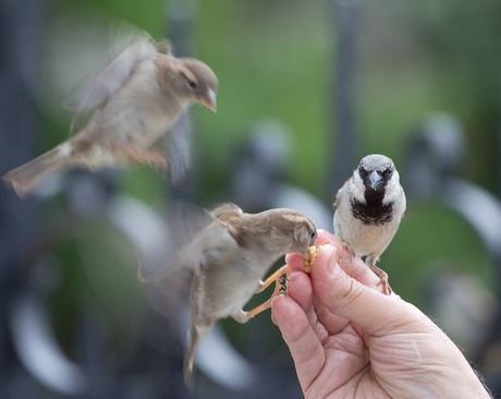 Landing