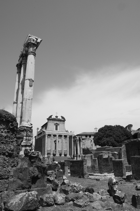 Foro Romano, Rome