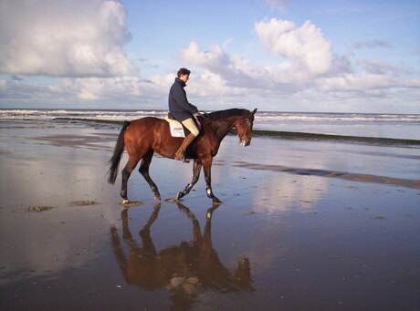 paardrijden aan het strand