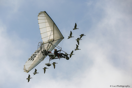 Hoog in de lucht