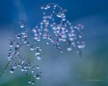 raindrops