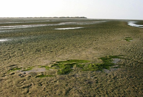 Ameland-Oost