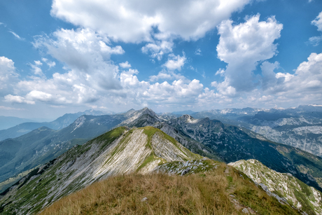 Slovenie Vogel top