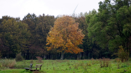 herfst