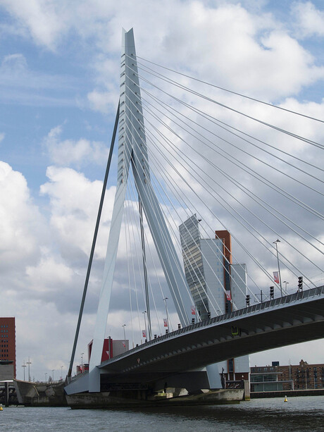 Erasmusbrug