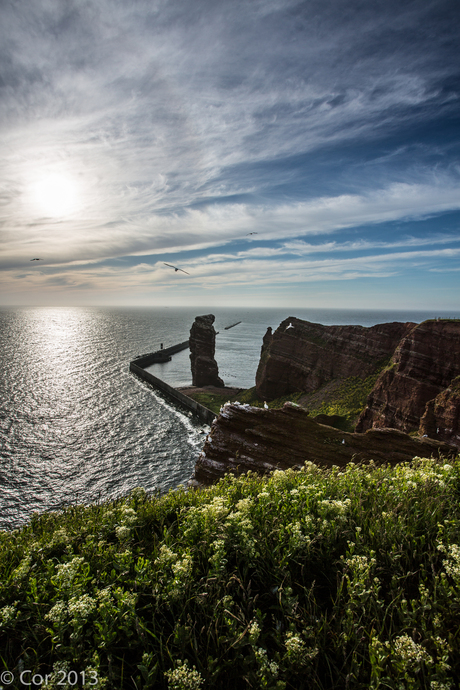 Helgoland 5