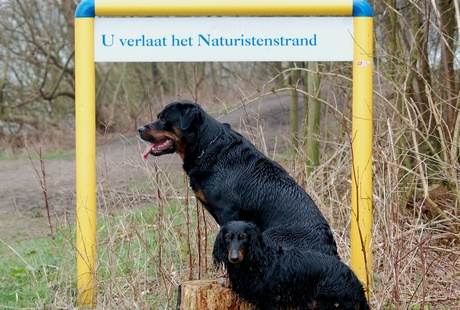 Naturisten