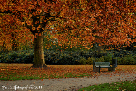 Herfst HDR