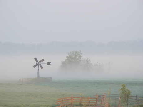 Windmolen in ochtendnevel