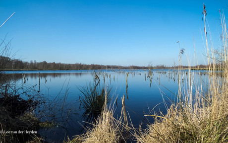 De rust van de Mariapeel