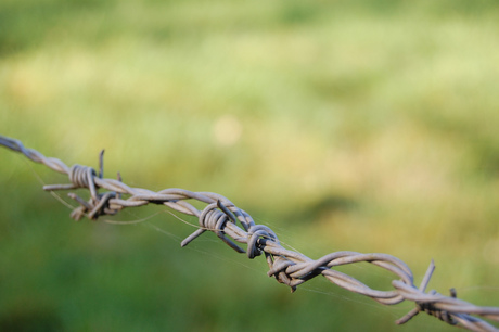 Barbed wire war