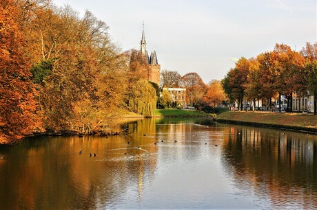 Zwolle in al zijn schoonheid