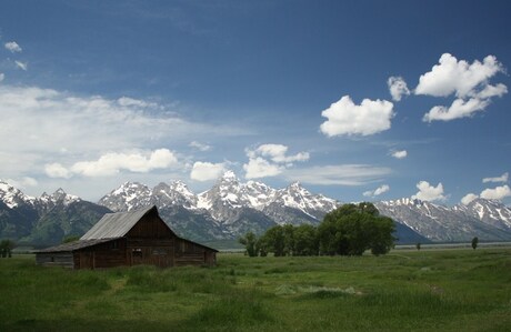 Mormon Row