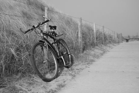 Just another bike at the beach...