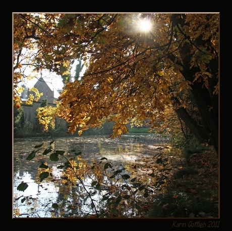 Herfst bij kasteel Stapelen