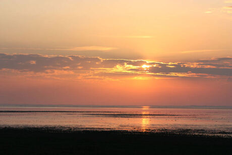 mooi Wad bij Zw. Haan