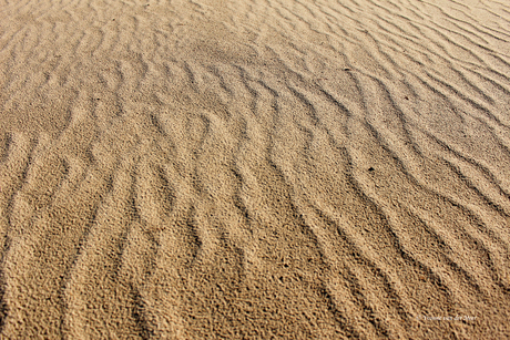 Sporen van de wind...