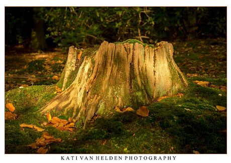 Licht en donker