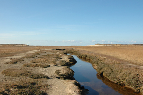 Natuurgebied Slufter (Texel)