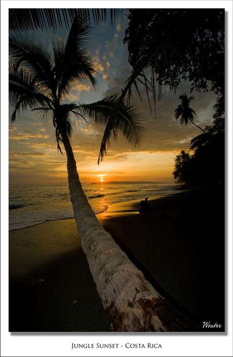 Zonsondergang tussen de palmen