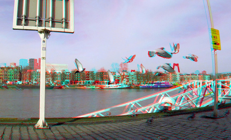 Duiven Rotterdam 3D GoPro
