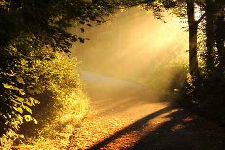En toen kwam het licht