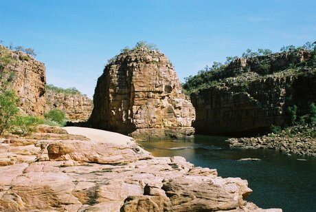 kakadu